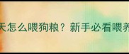 泰迪40天怎么喂狗粮新手必看喂养全攻略