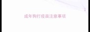 成年狗打疫苗注意事项