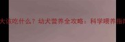 哈士奇一个月大该吃什么幼犬营养全攻略科学喂养指南与食物选择
