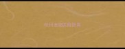 杭州宠物医院绝育