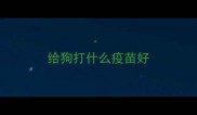 给狗打什么疫苗好