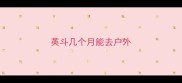 英斗几个月能去户外