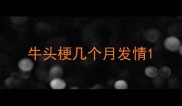 牛头梗几个月发情