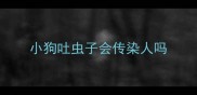小狗吐虫子会传染人吗