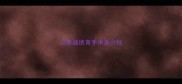 公泰迪绝育手术多少钱
