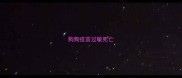 狗狗疫苗过敏死亡