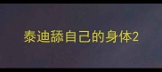 泰迪舔自己的身体
