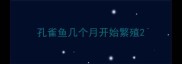 孔雀鱼几个月开始繁殖