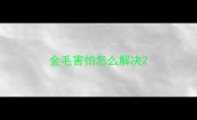 金毛害怕怎么解决