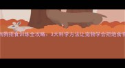 狗狗拒食训练全攻略3大科学方法让宠物学会拒绝食物
