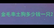 金毛串土狗多少钱一只