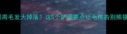 金毛眼周毛发大掉落这5个护理要点让毛孩告别熊猫眼