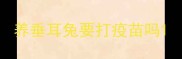 养垂耳兔要打疫苗吗