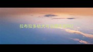 拉布拉多幼犬可以喂羊奶吗