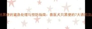 拉布拉多吐黑便的紧急处理与预防指南兽医犬只黑便的7大诱因及应对措施
