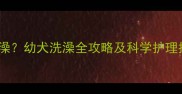 狗狗出生后多久能洗澡幼犬洗澡全攻略及科学护理指南附注意事项