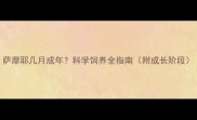 萨摩耶几月成年科学饲养全指南附成长阶段