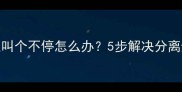 新狗狗到家一直叫个不停怎么办5步解决分离焦虑的实用指南