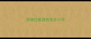 宠物过敏源检查多少钱