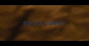 金毛幼犬三餐时间