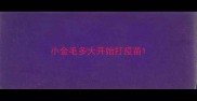 小金毛多大开始打疫苗
