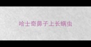 哈士奇鼻子上长螨虫