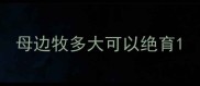 母边牧多大可以绝育