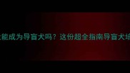 拉布拉多犬能成为导盲犬吗这份超全指南导盲犬培养真相