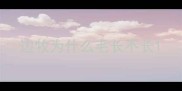 边牧为什么毛长不长