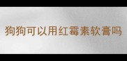 狗狗可以用红霉素软膏吗