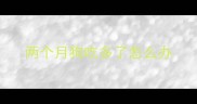 两个月狗吃多了怎么办