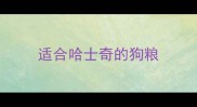 适合哈士奇的狗粮