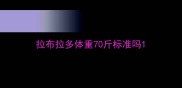 拉布拉多体重70斤标准吗