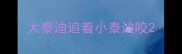 大泰迪追着小泰迪咬