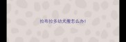 拉布拉多幼犬瘦怎么办