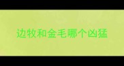 边牧和金毛哪个凶猛