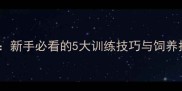哈士奇幼犬养成全攻略新手必看的5大训练技巧与饲养指南附成长周期表