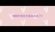 狗狗打完狂犬疫苗后吐了