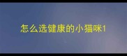 怎么选健康的小猫咪