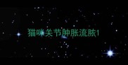 猫咪关节肿胀流脓