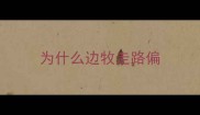 为什么边牧走路偏
