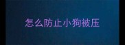怎么防止小狗被压