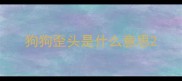 狗狗歪头是什么意思