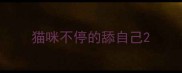 猫咪不停的舔自己