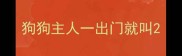 狗狗主人一出门就叫