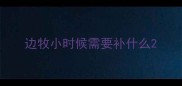 边牧小时候需要补什么