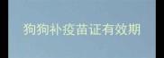 狗狗补疫苗证有效期