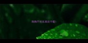 狗狗不吃东西还干呕