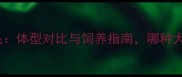 拉布拉多VS金毛体型对比与饲养指南哪种犬种更胜一筹