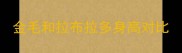 金毛和拉布拉多身高对比
